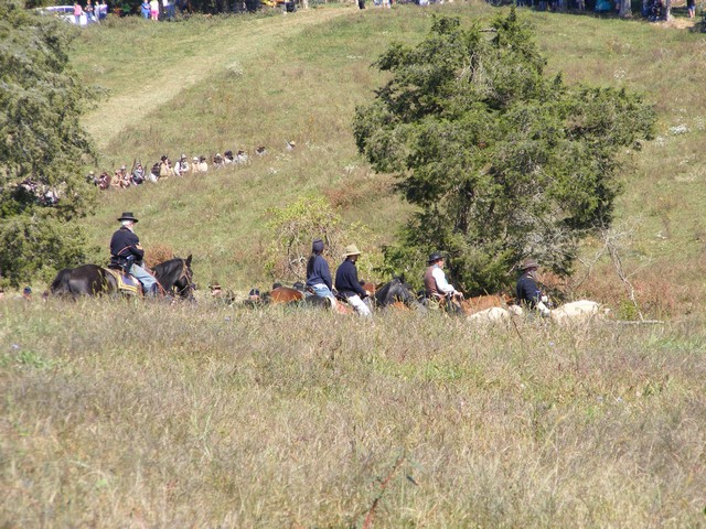 camporee0037