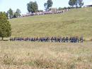 camporee0031.JPG