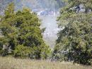 camporee0032.JPG