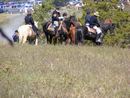 camporee0035.JPG