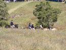 camporee0037.JPG