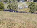 camporee0040.JPG