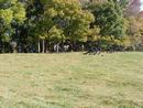 camporee0048.JPG