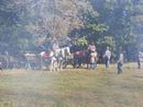 camporee0061.JPG