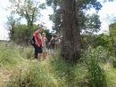 2012-05-05 14.57.17.jpg