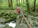 mtcammerer (15).jpg