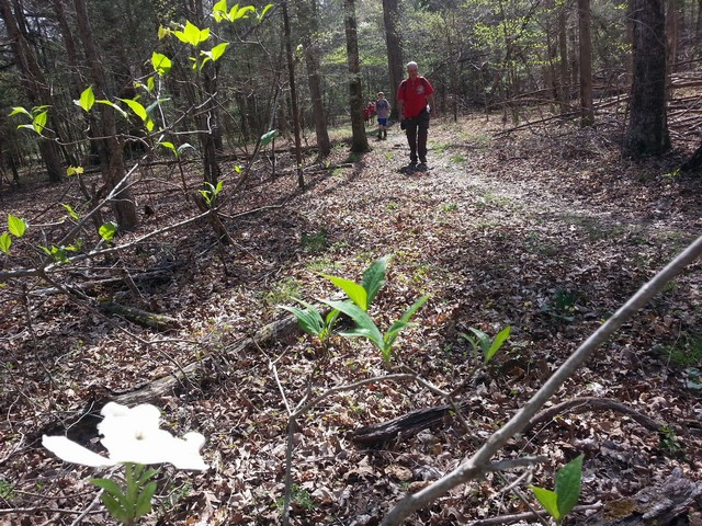 14chickamauga0022
