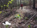 14chickamauga0022.jpg