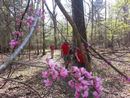 14chickamauga0023.jpg