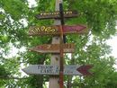 summercamp (10).jpg