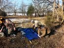 14klondike_0023.JPG