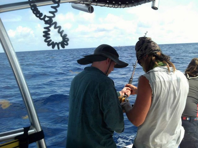 seabase14_ (14)