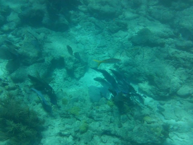 seabase14_ (35)
