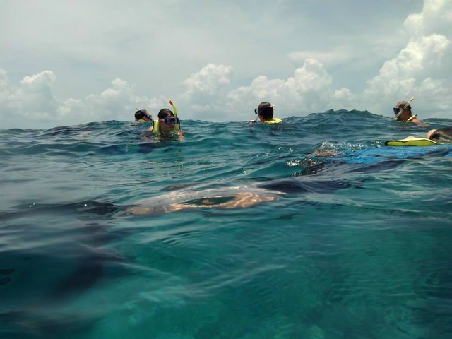 seabase14_ (55)