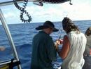 seabase14_ (14).jpg