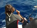 seabase14_ (31).jpg