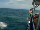 seabase14_ (51).jpg