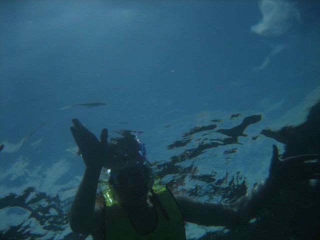 seabase_two (32)