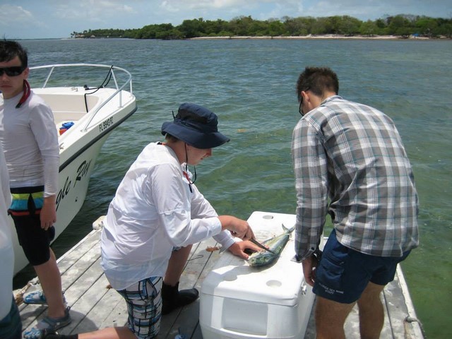 seabase_two (37)