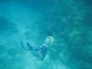 seabase_two (17).jpg