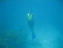 seabase_two (45).jpg