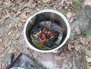 20140503_164727.jpg