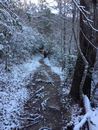 2015leconte (1).jpg