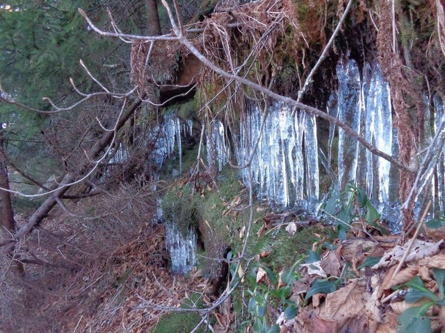 leconte2016 (12)
