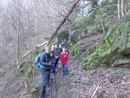 leconte2016 (2).jpg