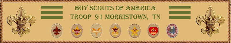 Troop 91